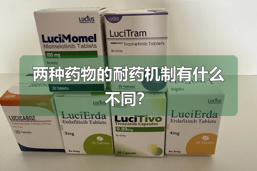 两种药物的耐药机制有什么不同？